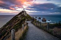 Nugget Point Vuurtoren tijdens zonsondergang in Nieuw Zeeland van Michael Bollen thumbnail