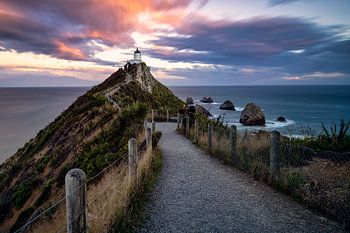 Nugget Point Vuurtoren tijdens zonsondergang in Nieuw Zeeland