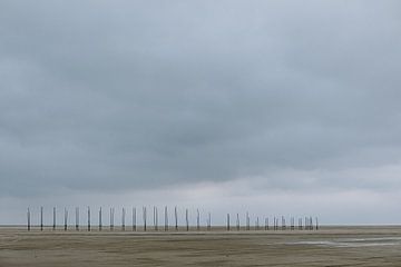 The vastness of the northern Sahara by Colinda Riemens