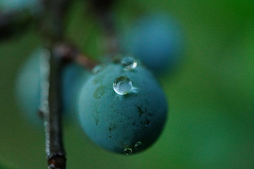 A drop in the ocean