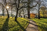 Herfstsfeer in het Leeuwarder stadspark De Prinsentuin van Harrie Muis thumbnail