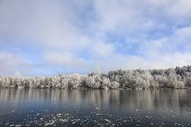 A winter's day at the Schwackenreuter lakes near Mühlingen in Hegau by BlattArt - Christine Horn