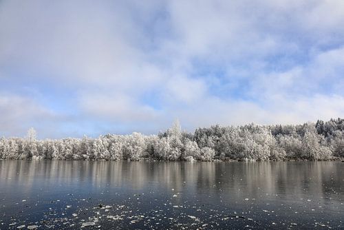 Een winterse dag aan de Schwackenreuter meren bij Mühlingen in Hegau