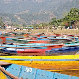 Kleurrijke boten bij het Phewa meer te Pokhara (rechthoek) sur Wiljo van Essen