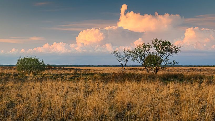 Sunset in National Park the Dwingelderveld by Henk Meijer Photography