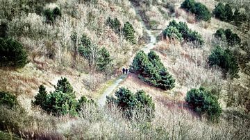 Spaziergänger auf der Halde Hoheward von Petra Dreiling-Schewe