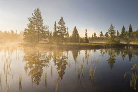 Stiller Morgen I von Rainer Mirau