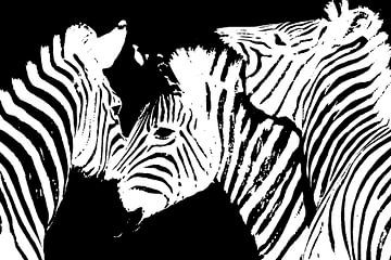 Zebras monochrome mixed media