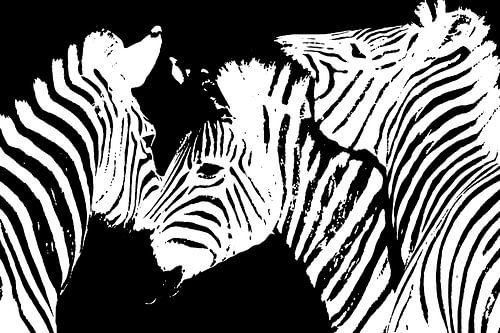 Zebras monochrome mixed media