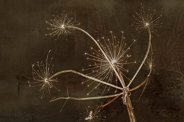 Fireworks of Nature. Digital Art van Alie Ekkelenkamp
