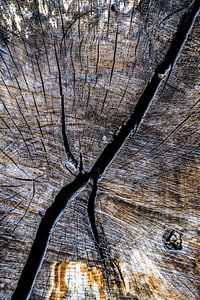 Ein Herz aus Holz