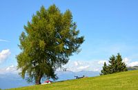 Seiser Alm