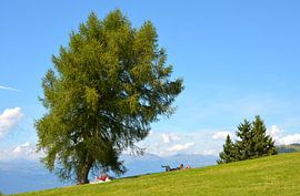 Seiser Alm von Erwin Reinders