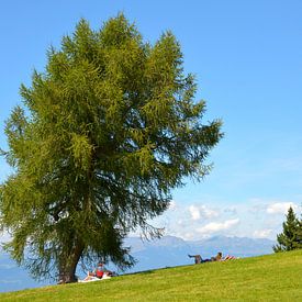 Seiser Alm by Erwin Reinders