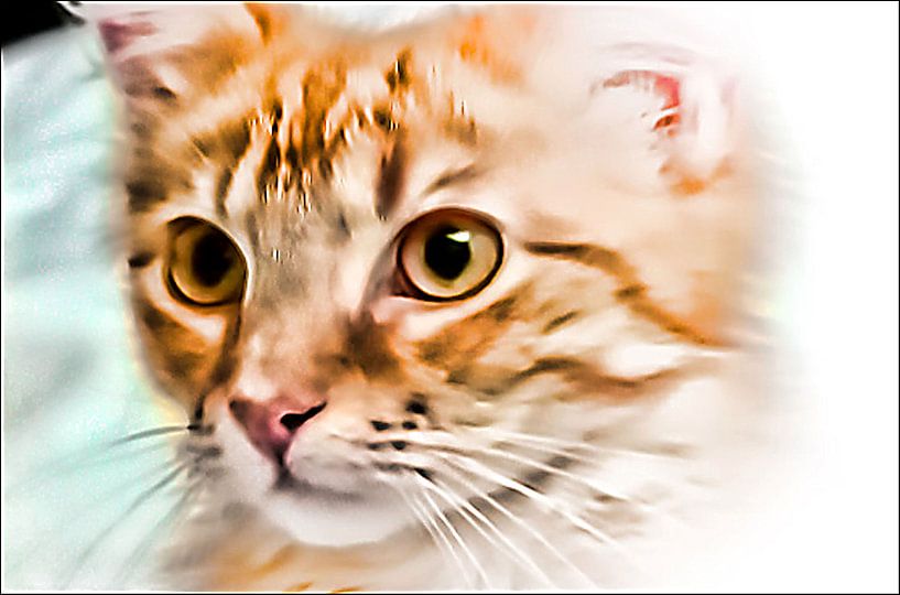 Katzenkind by Margitta Frischat