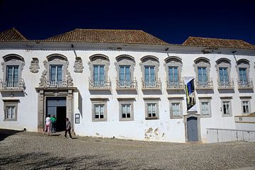Portugees van Ger Nielen