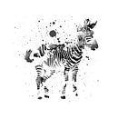 zebra van Felix Brönnimann thumbnail