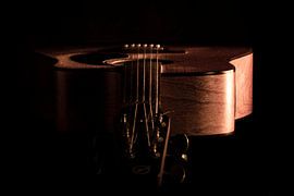 Seagull: still going strong after 35 years by anne droogsma