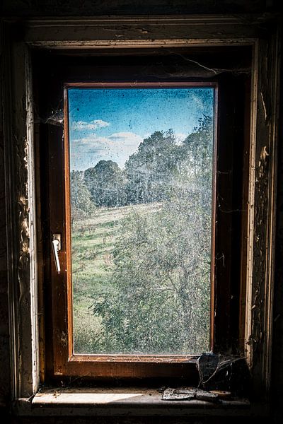 Staubige Aussicht - Verlassene Scheiben und das Fenster zur Natur von InfiniteArtLabs