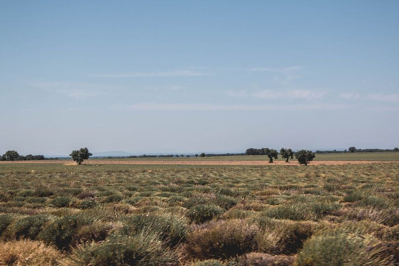 Repos dans les champs - Paysages du sud de la France par Dixy Kracht