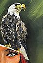 Follow the eagle von Vera Markgraf Miniaturansicht