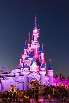 Disneyland Parijs van Edwin Boer
