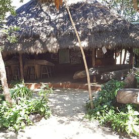 Ngepi Lodge, Caprivi-Streifen, Namibia von Celine Seelemann
