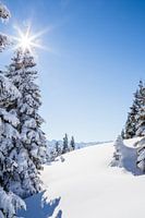 Berglandschaft "Winter Wonderland"