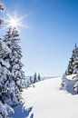 Berglandschap "Winter Wonderland" van Coen Weesjes thumbnail
