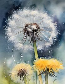 Pusteblume und Löwenzahnblüte von Isa Bild