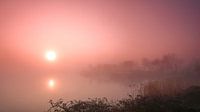 Misty Morning Rotterdam, the Netherlands.