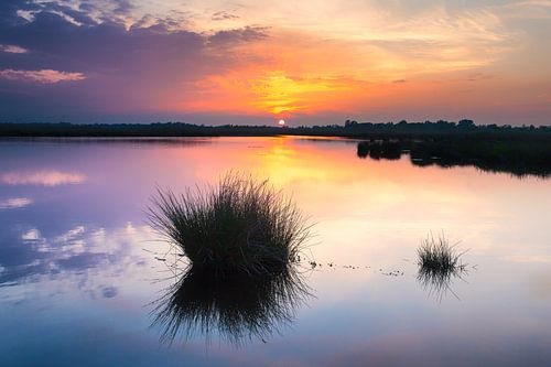 Sunset at marsh area near Groningen