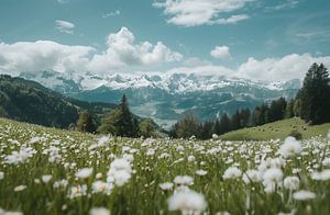 Wildblumenwiesen unter Alpengipfeln