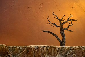 Deadvlei van Peter Poppe