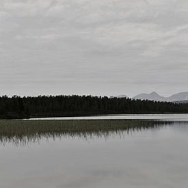 Schwedischer See, norwegische Berge sur Mirjam van Vooren