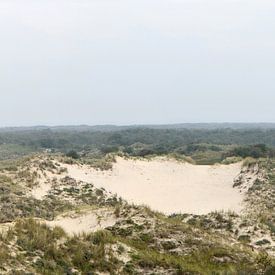 The dunes on Schiermonnikoog by Gerard de Zwaan