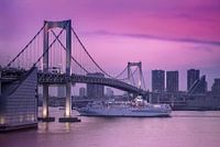 Cruiseschip onder de Regenboogbrug van Tokio.