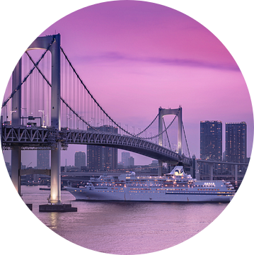 Cruiseschip onder de Regenboogbrug van Tokio. van Kuremo Kuremo