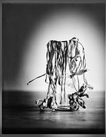 Dried tulips in a vase