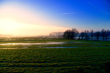 morgenstond