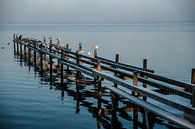 'S Ochtends in het Steinhuder Meer. van Norbert Sülzner thumbnail