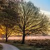 Bicycle path in the early morning by Wendy van Kuler Fotografie