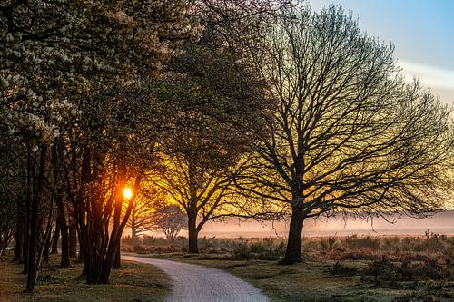 Piste cyclable au petit matin
