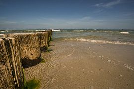 Ins Meer ragende Buhnen. Aufgenommen in Zingst, auf dem Darß. Die Perspektive ist auf den Horizont g von Martin Köbsch