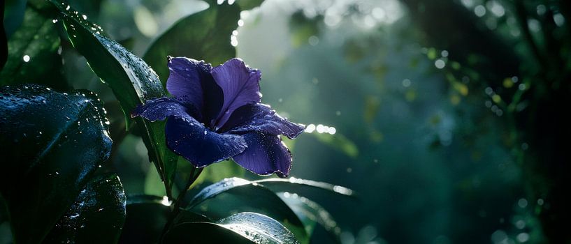 Purple blossom in soft rainlight by Poster Art Shop