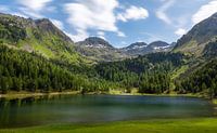 Duisitzkarsee in Schladming von Emile Kaihatu Miniaturansicht