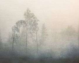 - 20 by Åsmund Kværnstrøm