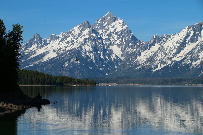 Grand Teton et le lac Jackson par Christiane Schulze