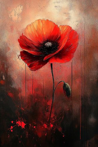 Red Poppy
