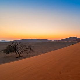 SossusVlei Sunrise von Enrique Ekoga